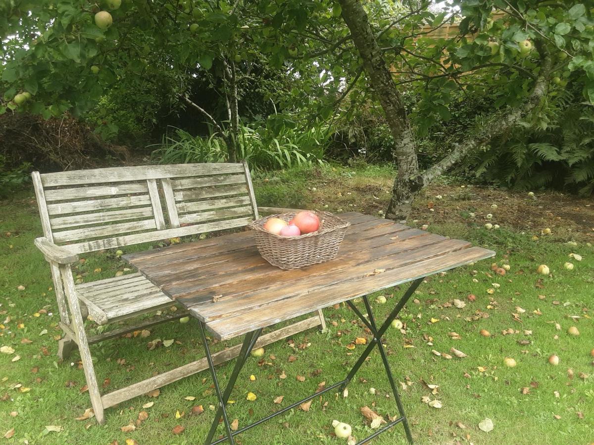 Tranquil Wood Cabin Set In A Beautiful Orchard Penzance Exterior foto