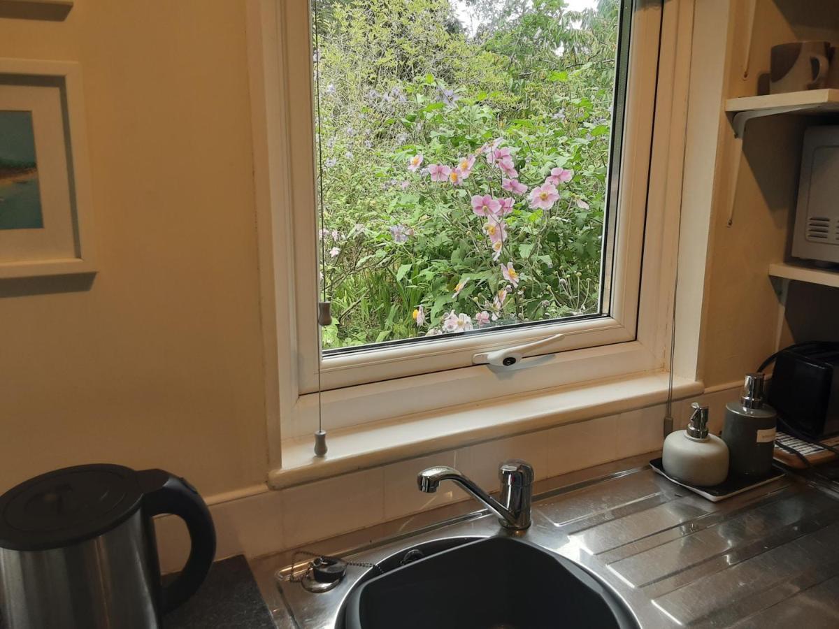 Tranquil Wood Cabin Set In A Beautiful Orchard Penzance Exterior foto