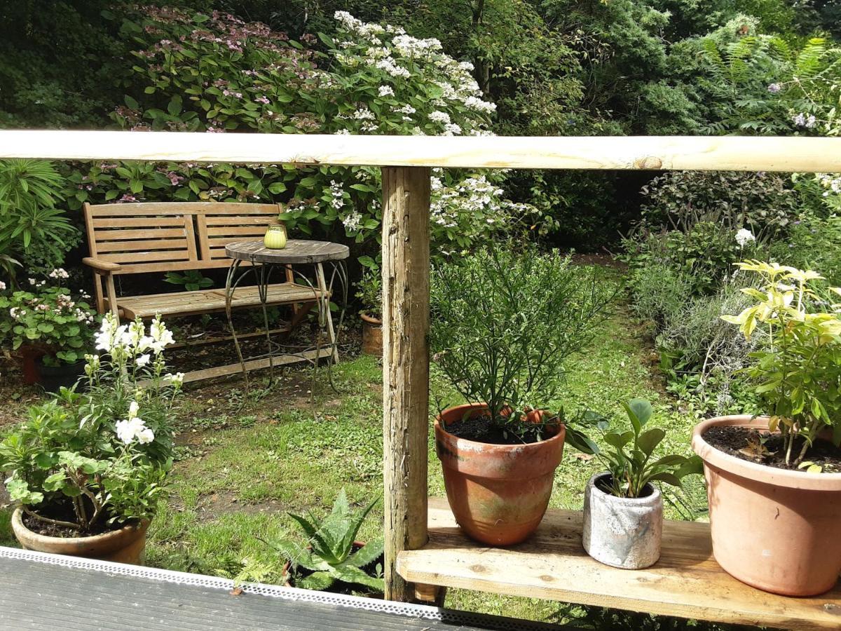 Tranquil Wood Cabin Set In A Beautiful Orchard Penzance Exterior foto